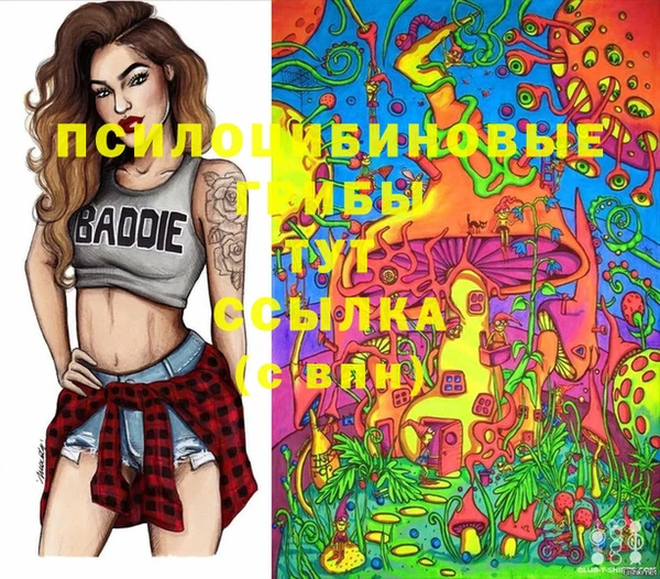 mdpv Баксан